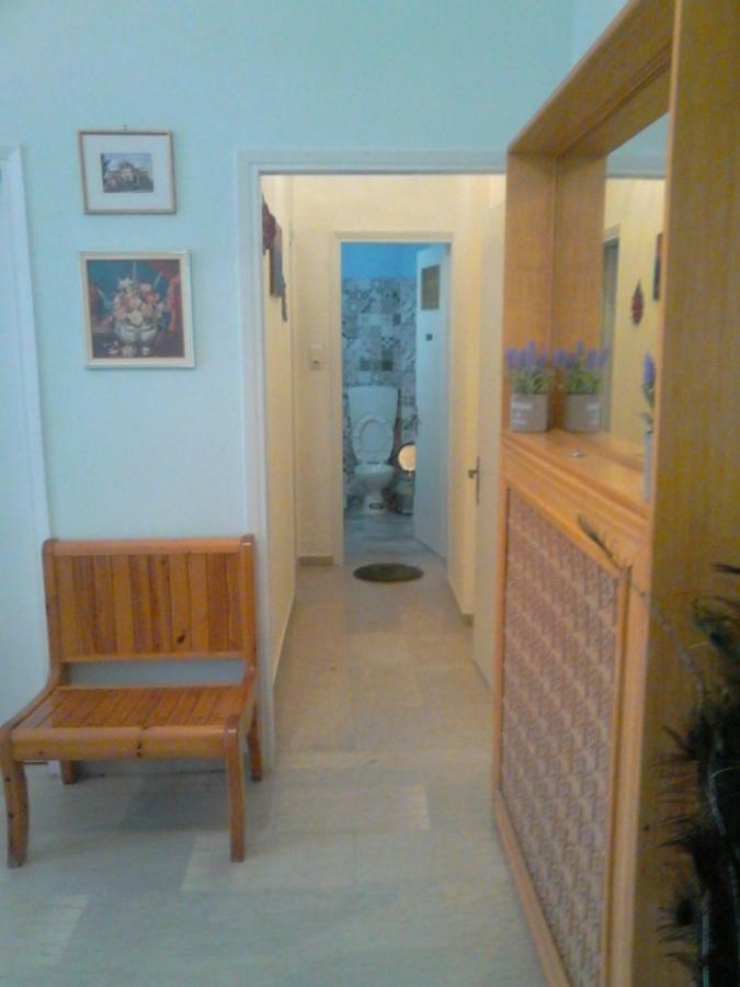 Vasiliki'S Apartment Kalambaka Esterno foto